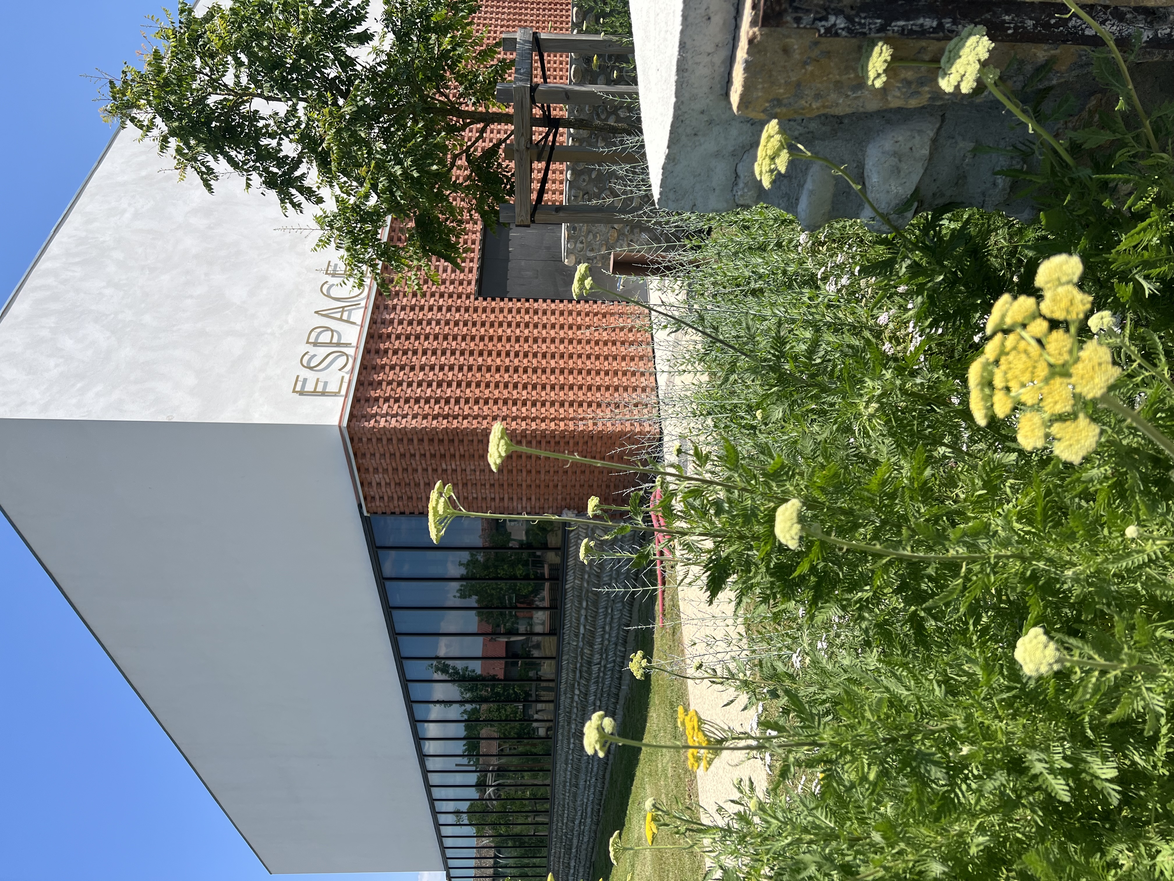 ESPACE CULTUREL ANGONIA