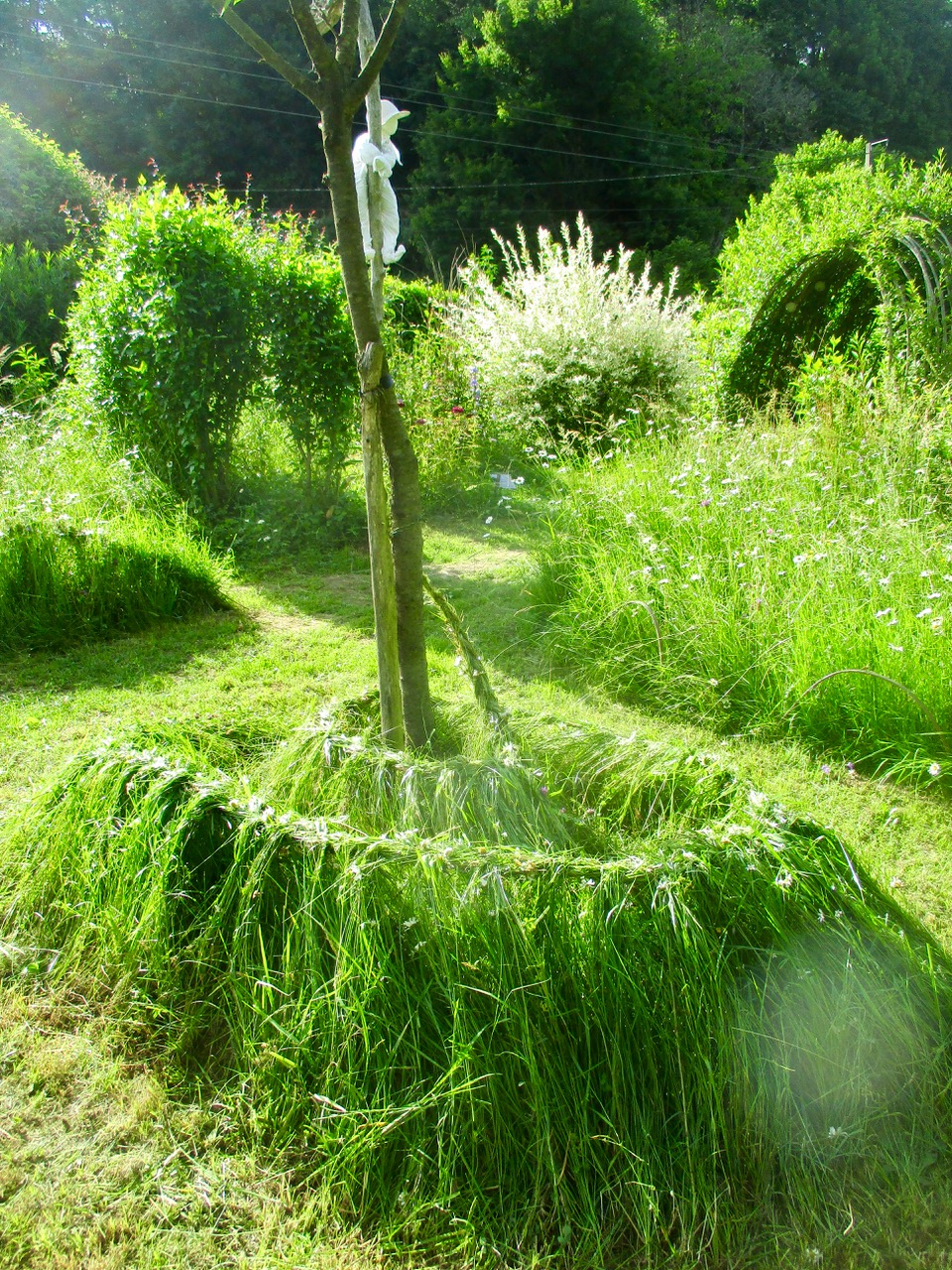 SALLE CREAGIRE & "JARDIN HABITÉ A CREAGIRE", Sengouagnet - photo 10