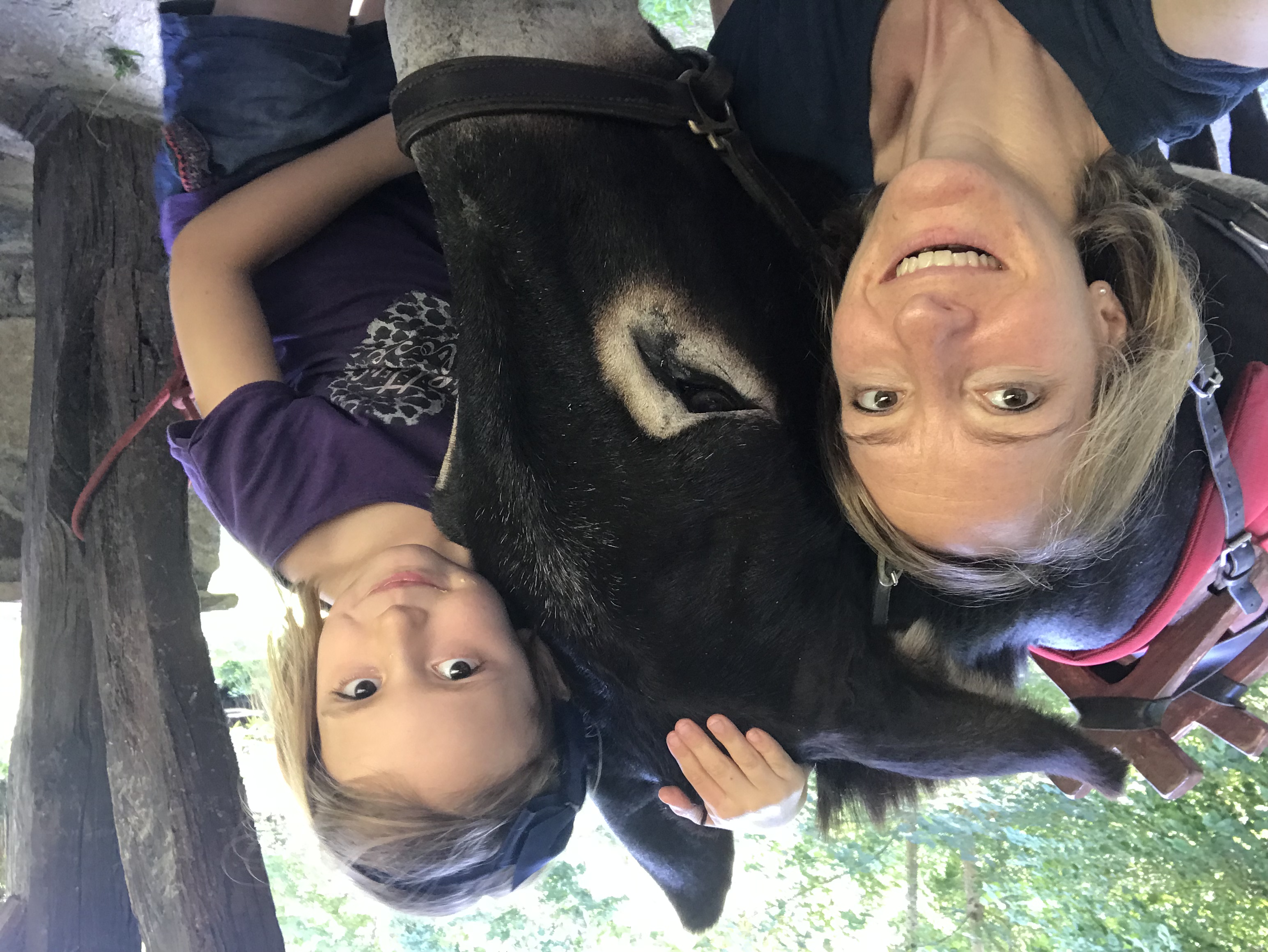 LA FERME D'OULAN BAT, Arbas - photo 5