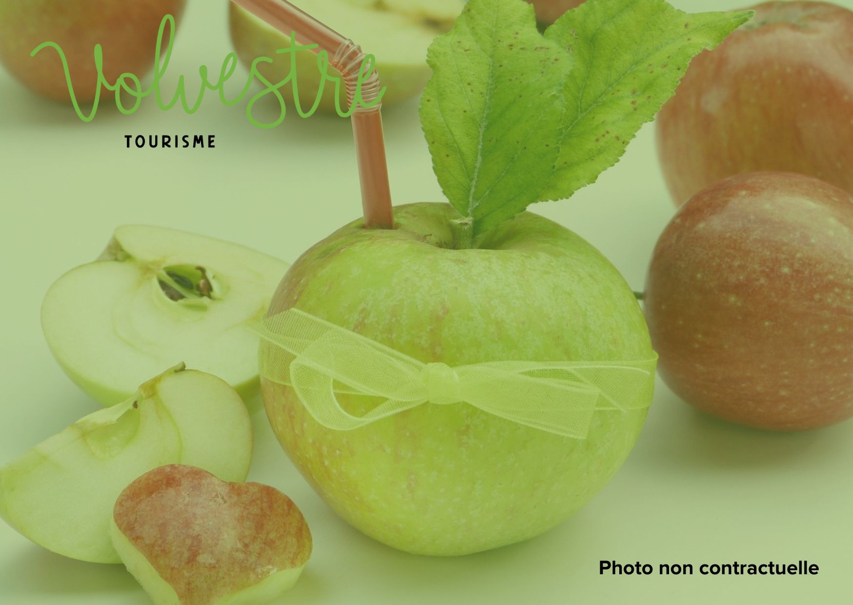 L'ORIGINE