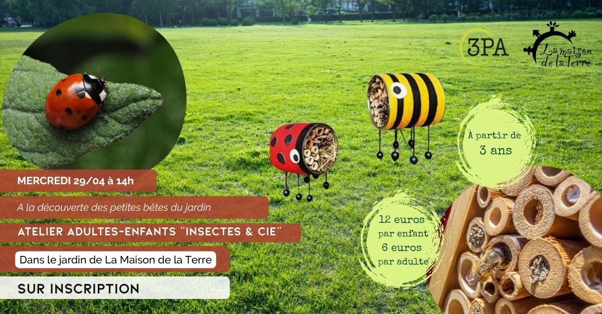A LA DÉCOUVERTE DES INSECTES DU JARDIN — visuel événement