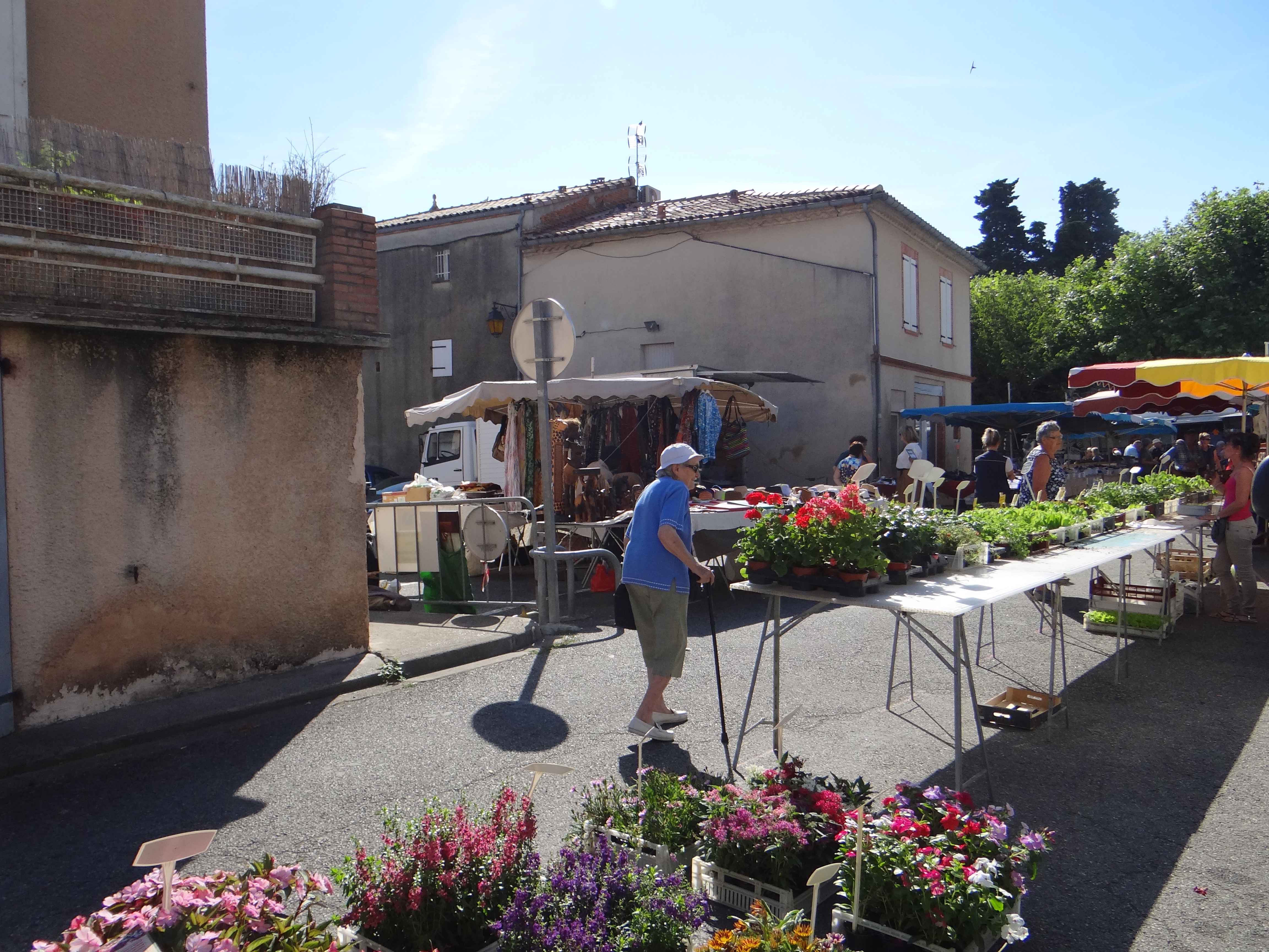 MARCHÉ DE PLEIN VENT A CARAMAN — photo 2