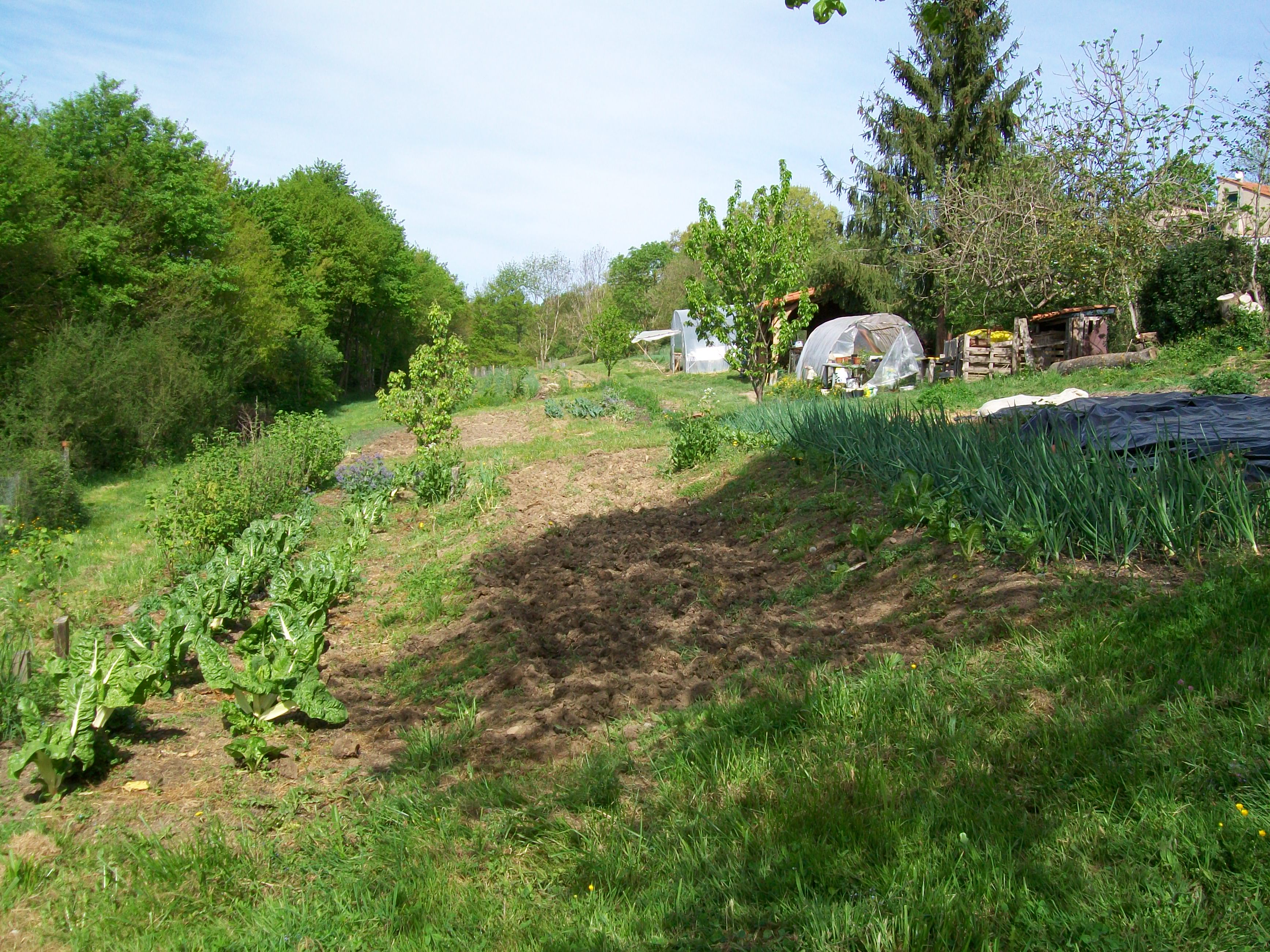 LÉGUMES DE LA COSTO