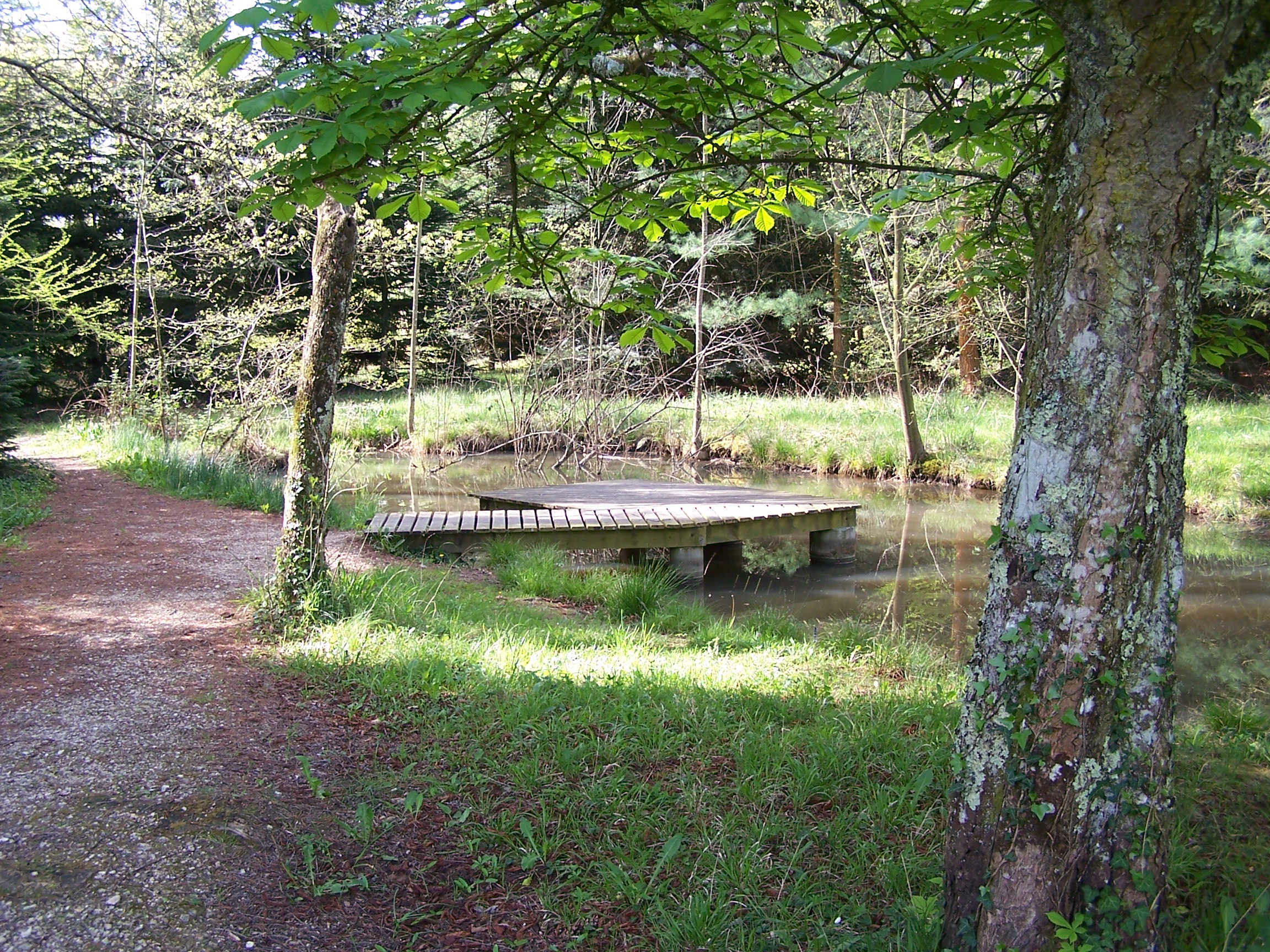 ARBORETUM DE CARDEILHAC, Cardeilhac - photo 4