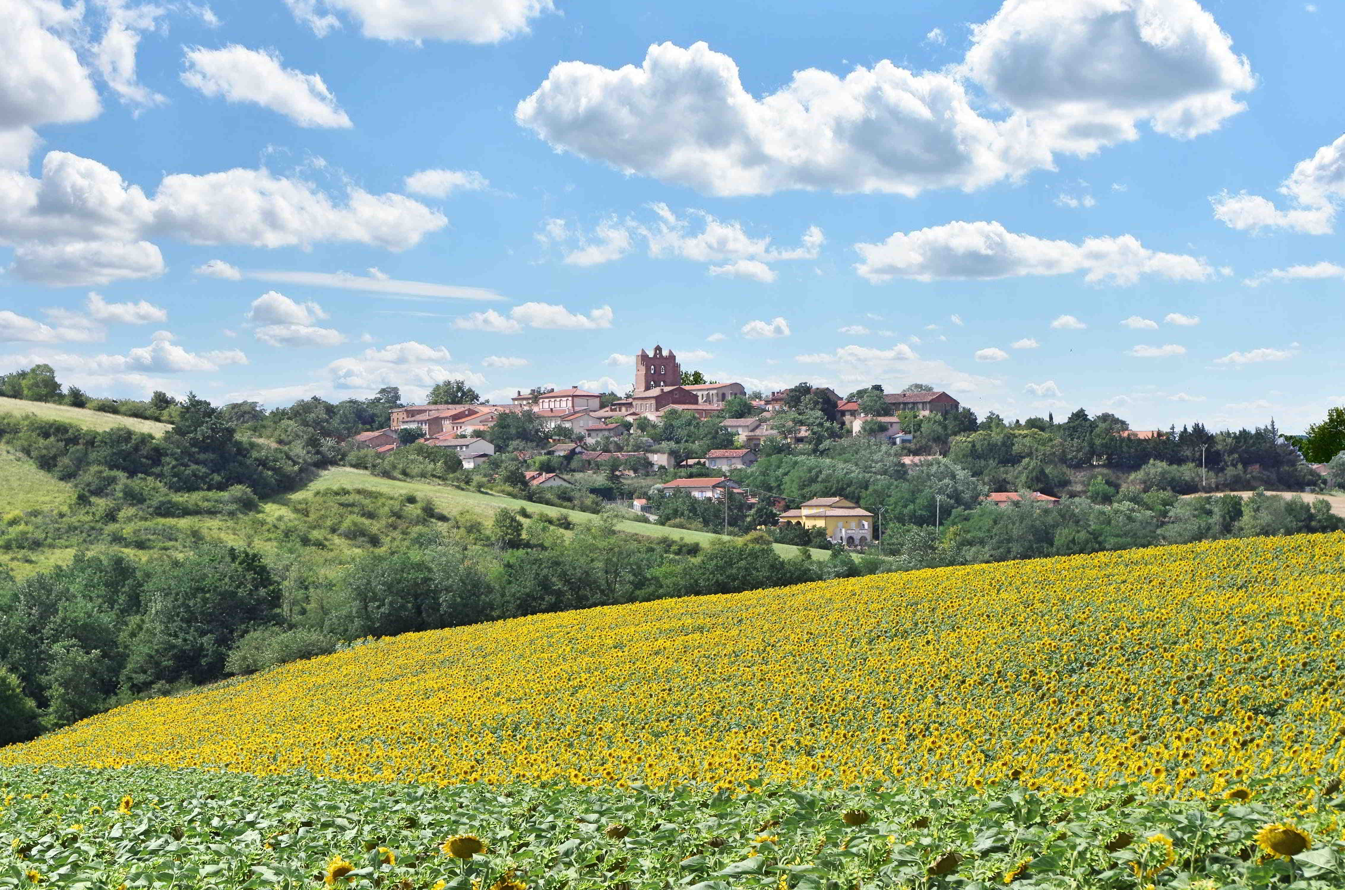 MONTESQUIEU-LAURAGAIS, Montesquieu-Lauragais - photo 7