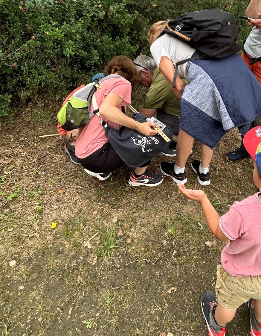 NATURA QUEST, Clermont-le-Fort - photo 3