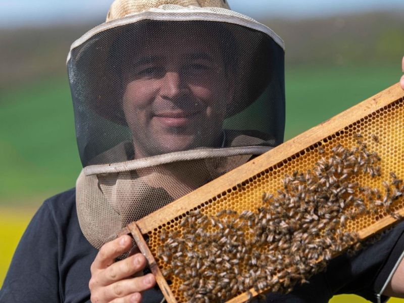 MIELLERIE DU CAMP DE LA HOUN