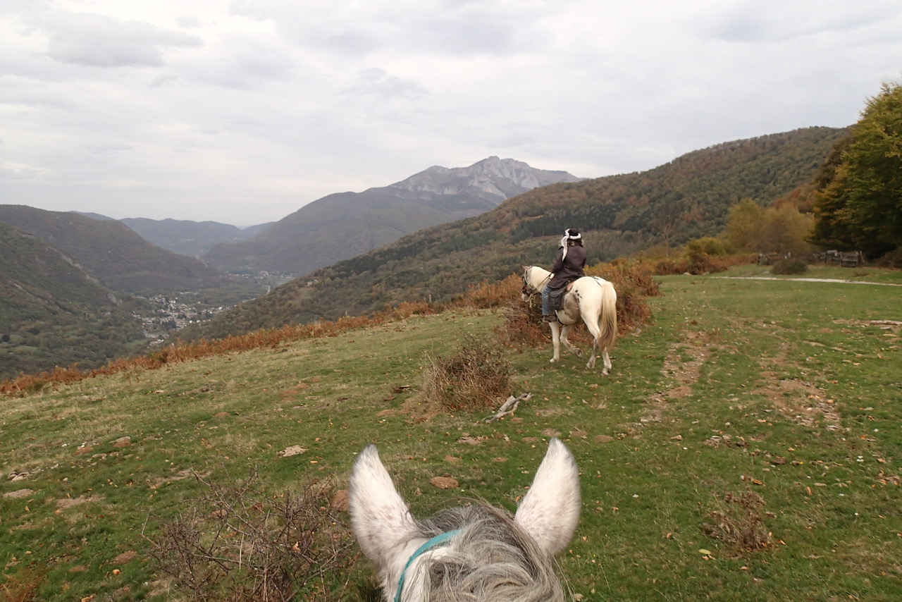 CAVALCAGIRE, Chein-Dessus - photo 5