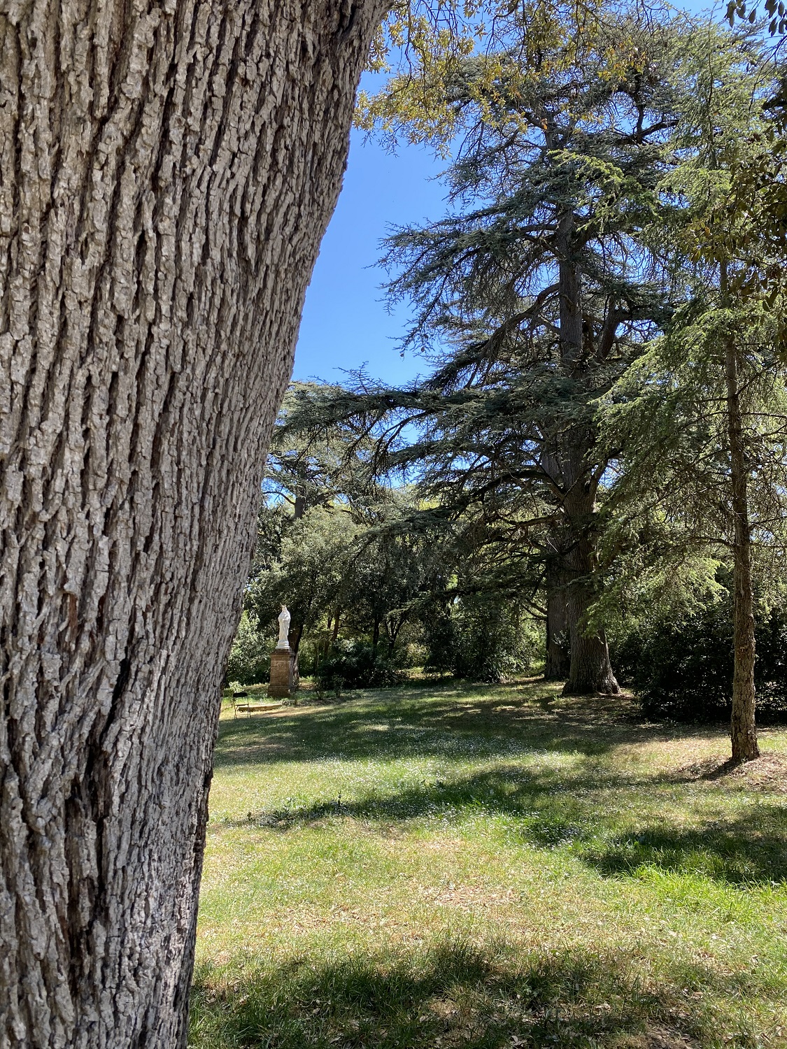 CHAPELLE NOTRE-DAME D'ALET, Montaigut-sur-Save - photo 7