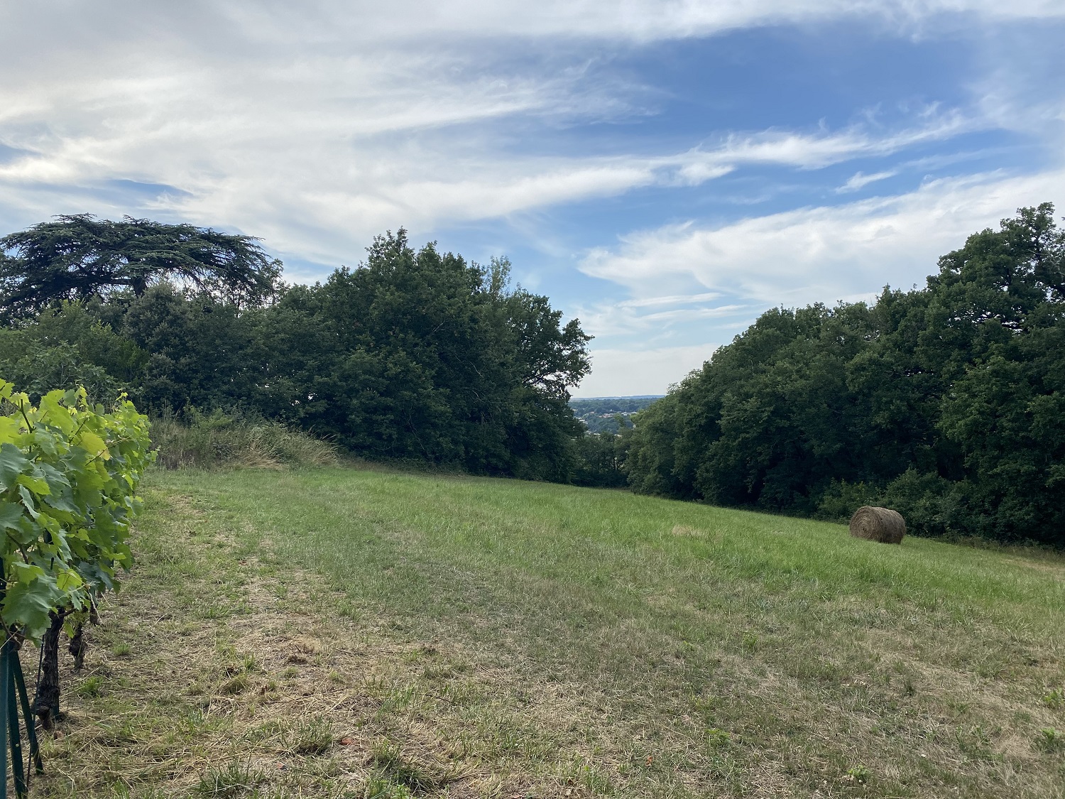 CHAPELLE NOTRE-DAME D'ALET, Montaigut-sur-Save - photo 3