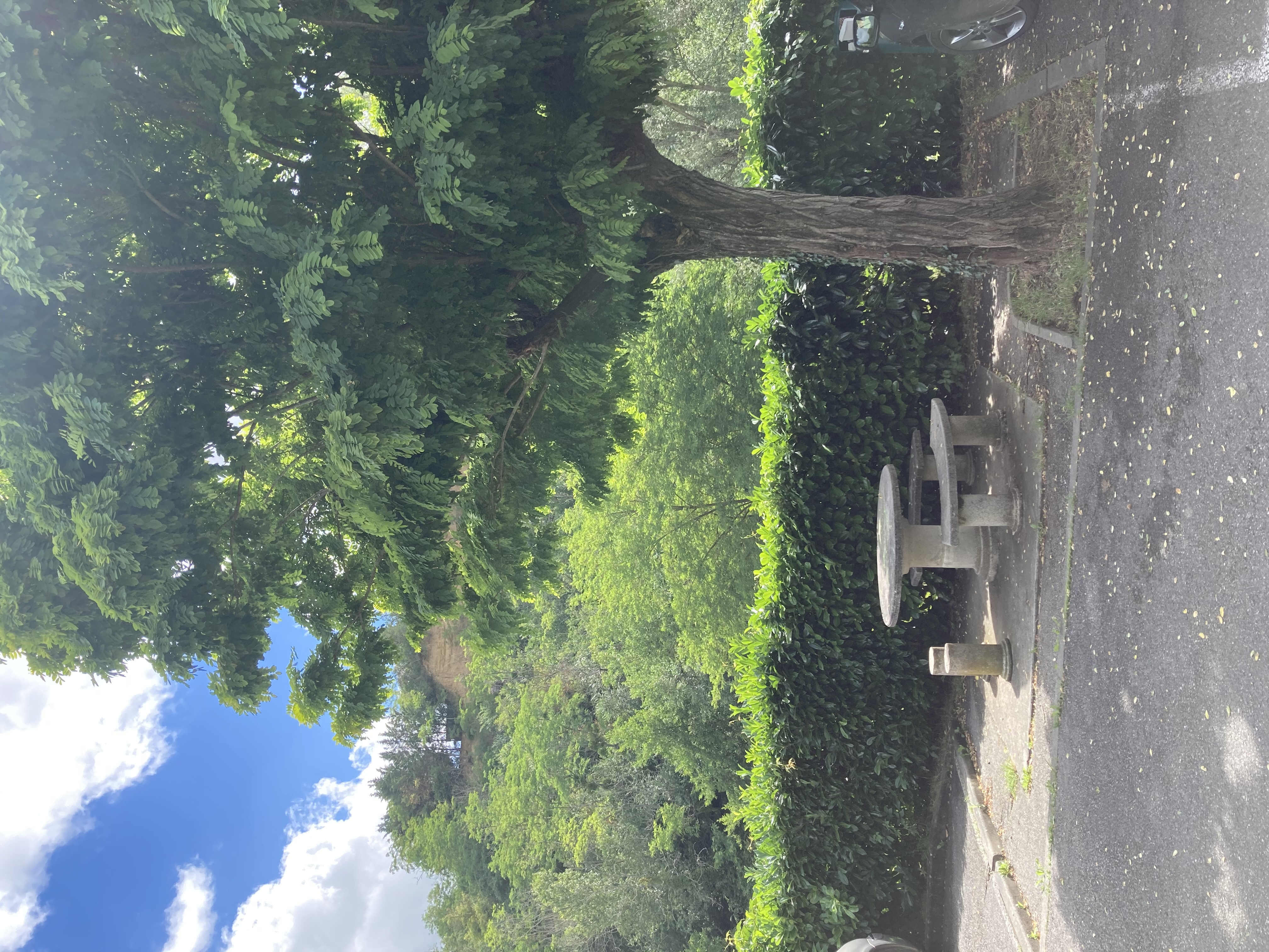 AIRE DE PIQUE-NIQUE DES PAOUS