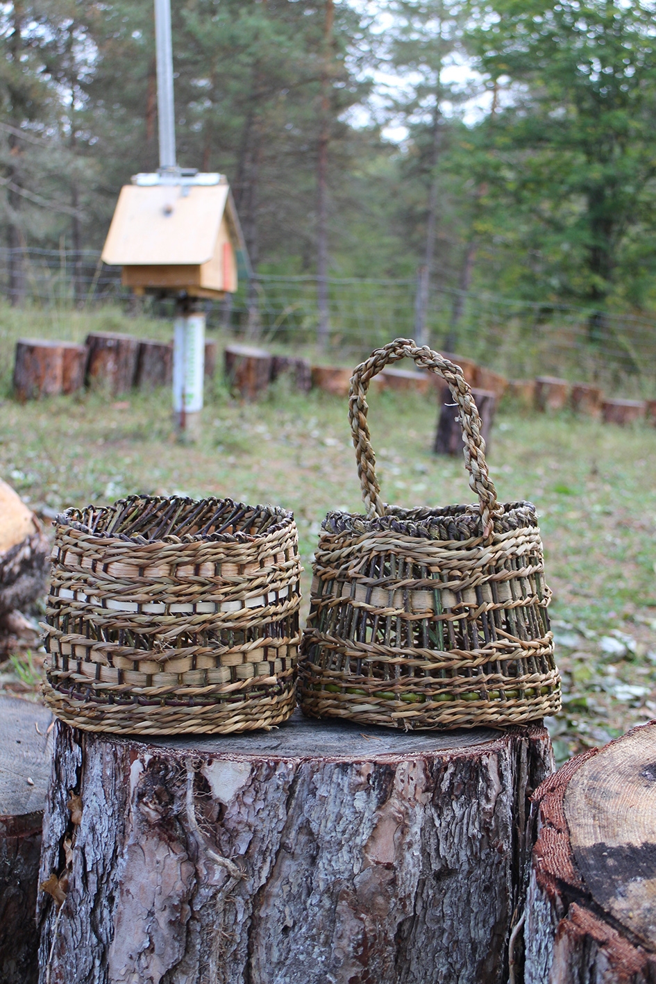 PATRICIA BRANGEON, Cazaunous - photo 5