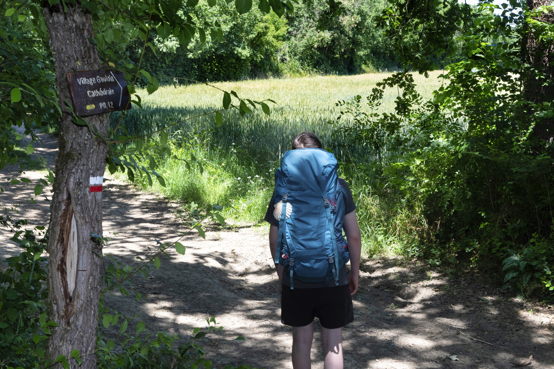 MA RANDO NATURE - RIEUX-VOLVESTRE - VERS LE VILLAGE GAULOIS, Rieux-Volvestre - photo 2