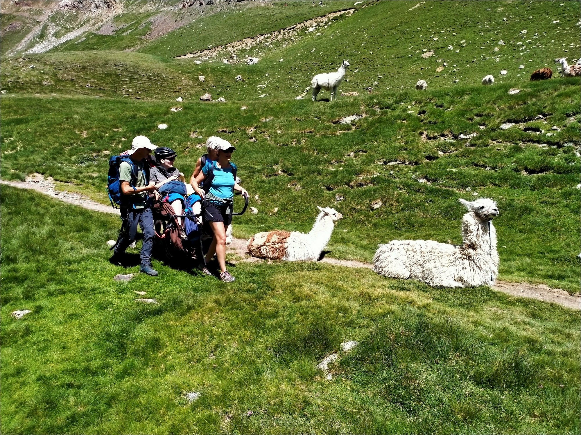 UNIVERS MONTAGNE ESPRIT NATURE, Labège - photo 2