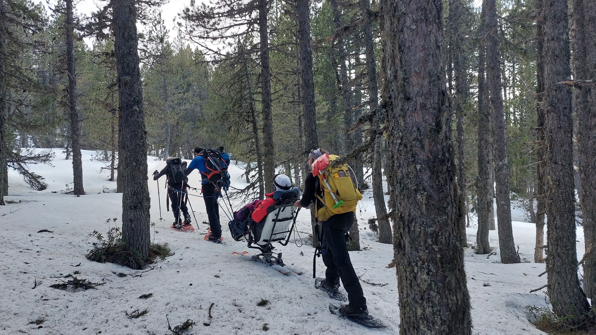 UNIVERS MONTAGNE ESPRIT NATURE, Labège - photo 6