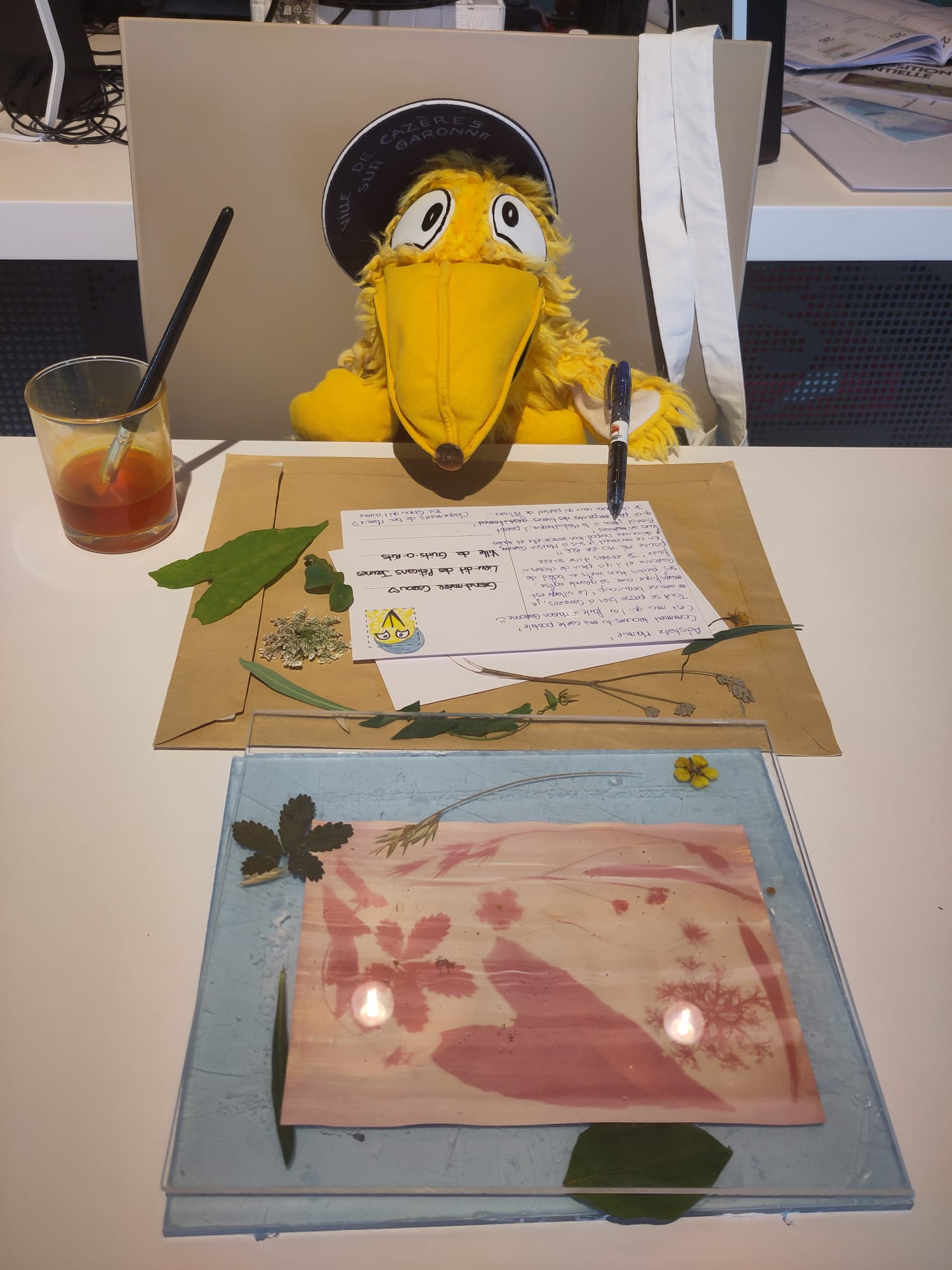 CARTE POSTALE AU CURCUMA