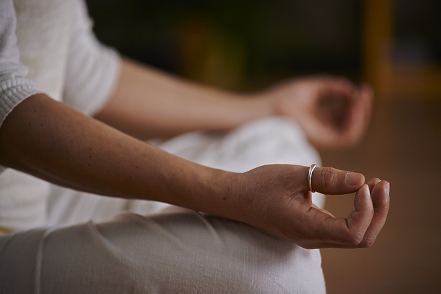 ATELIERS DE DÉCOUVERTE DU TAI-CHI