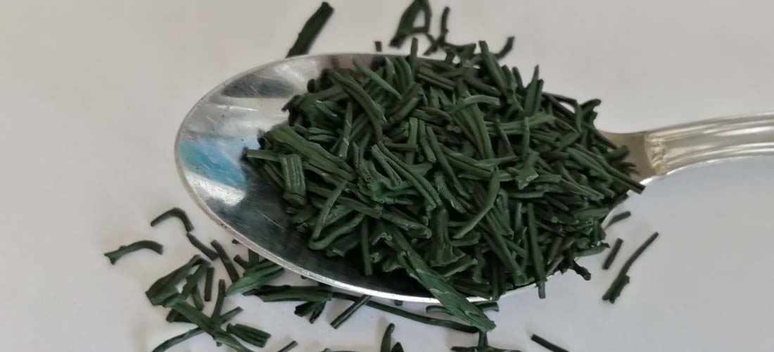 SPIRULINE TOLOSANE