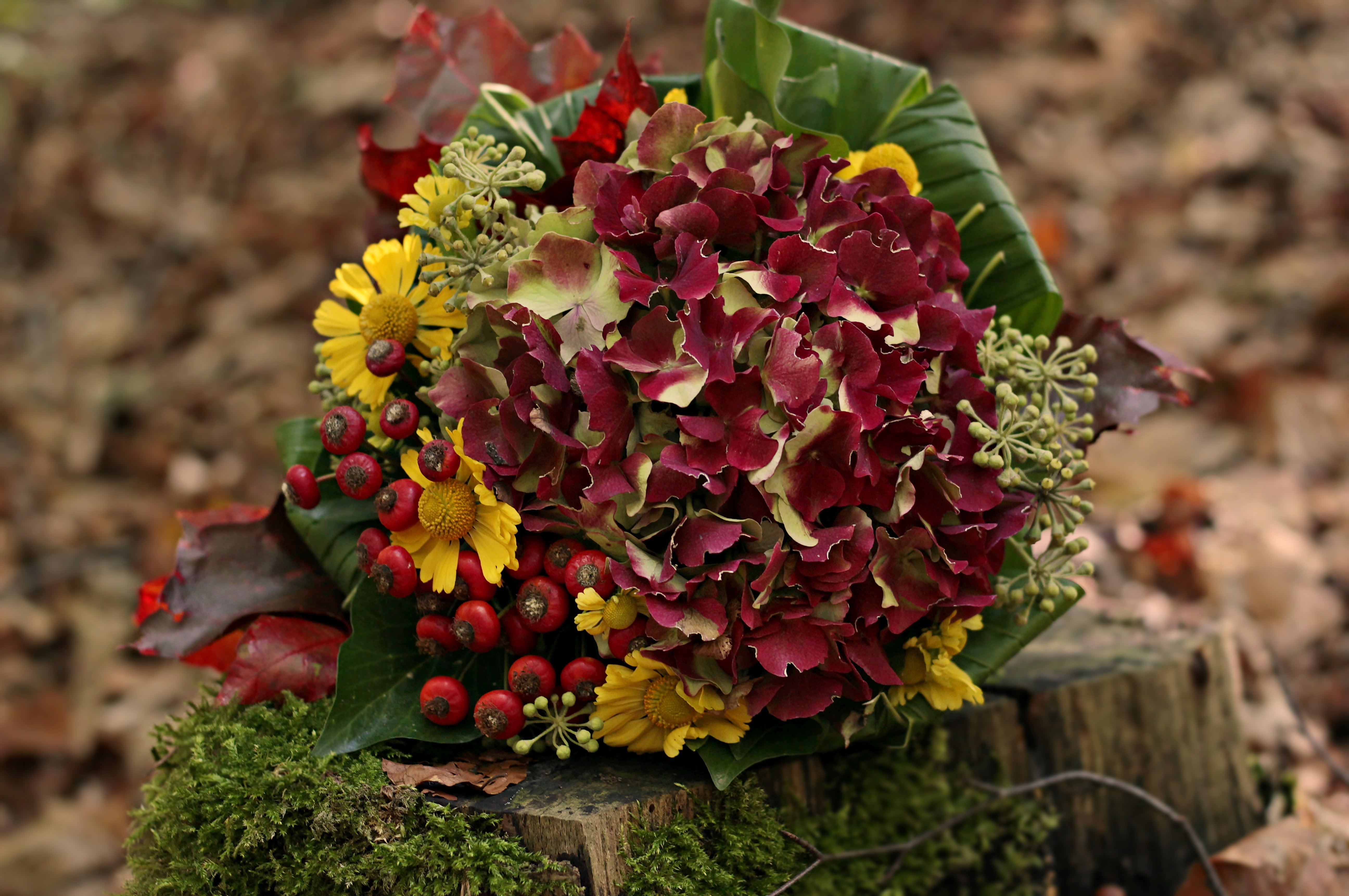 CRÉATION FLORALE SUR LE THÈME DE L'AUTOMNE.