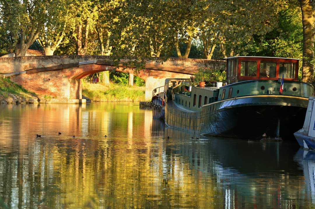 A L'ABORDAGE MOUSSAILLON, Toulouse