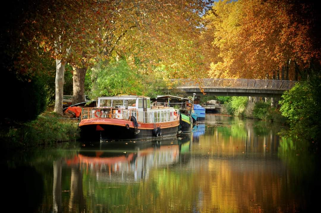 A L'ABORDAGE MOUSSAILLON, Toulouse - photo 7