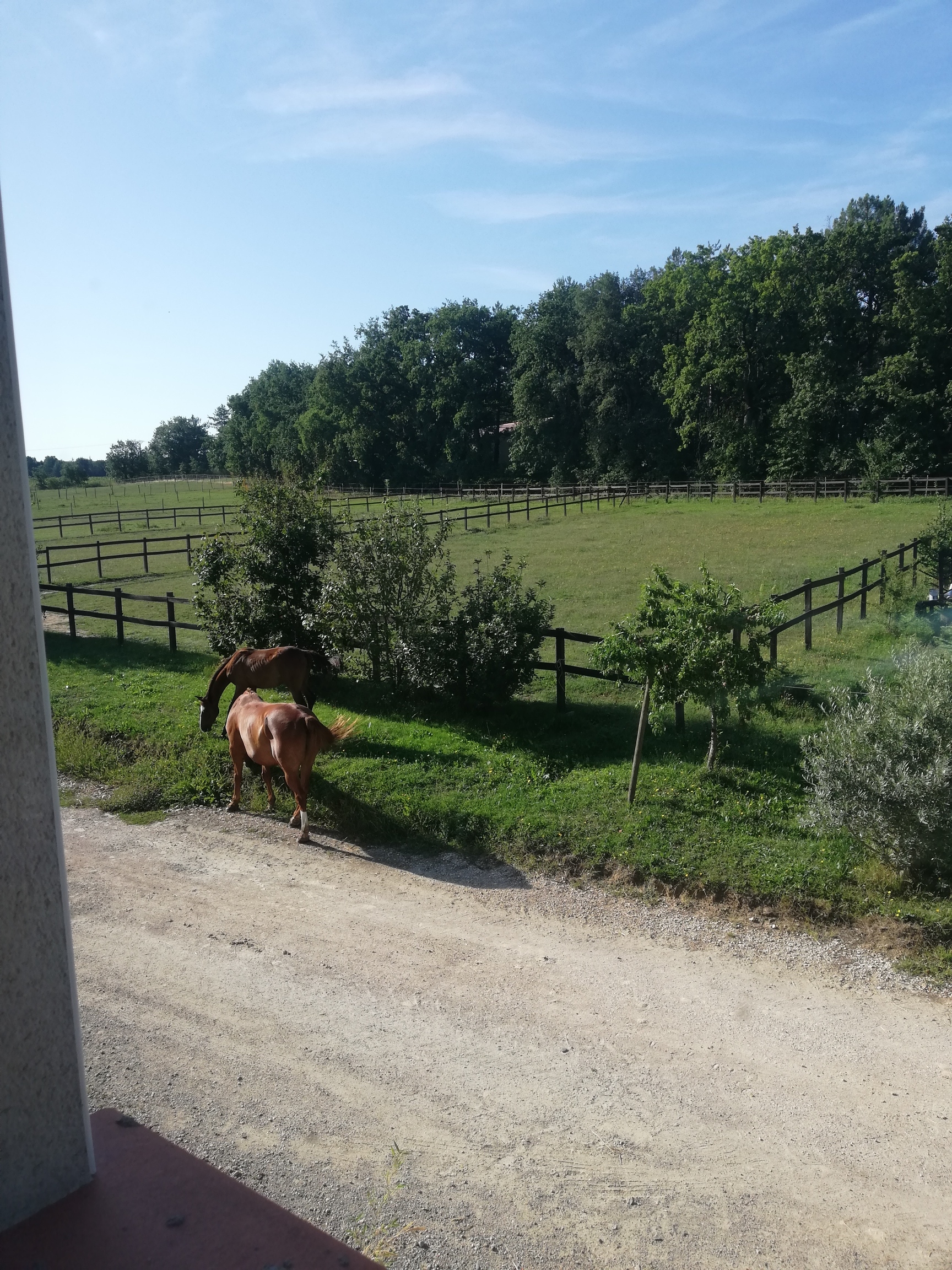 CAP CHEVAL, Bouloc - photo 3