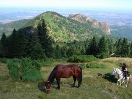 CAVALCAGIRE, Chein-Dessus - photo 9