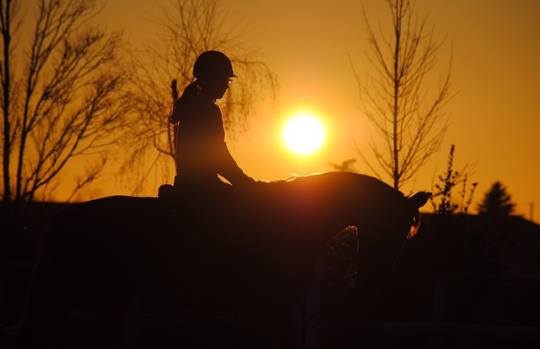 PONEY CLUB DE GOUNY, Seysses