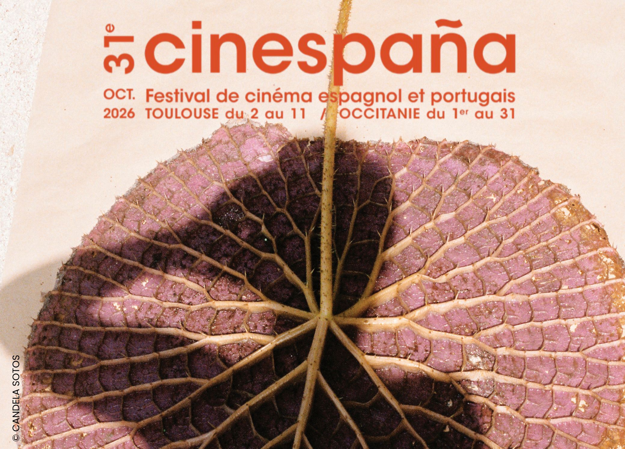 CINESPAÑA - 31ÈME ÉDITION