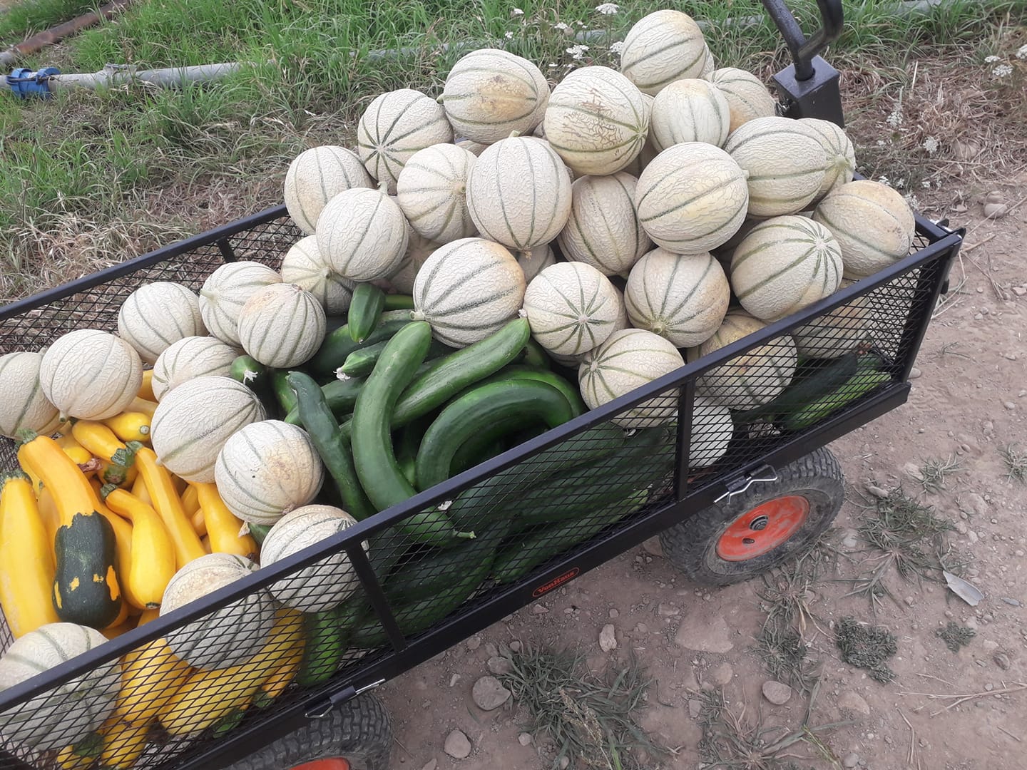 LA FERME DE GUINDOUL