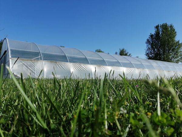 SPIRULINE TOLOSANE, Bazus - photo 2