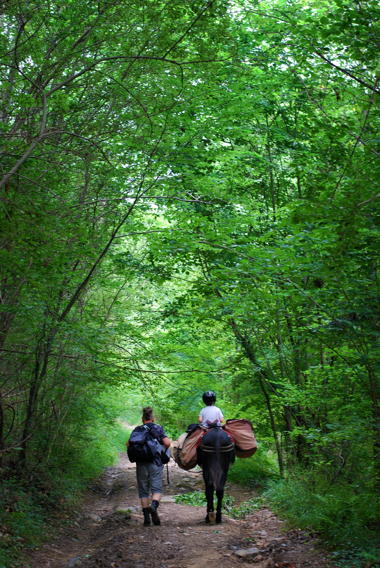 LA FERME D'OULAN BAT, Arbas - photo 6