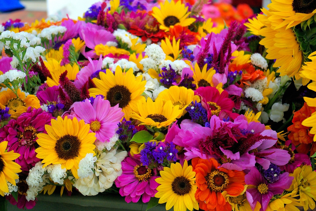 MARCHE AUX FLEURS ET AUX PLANTES
