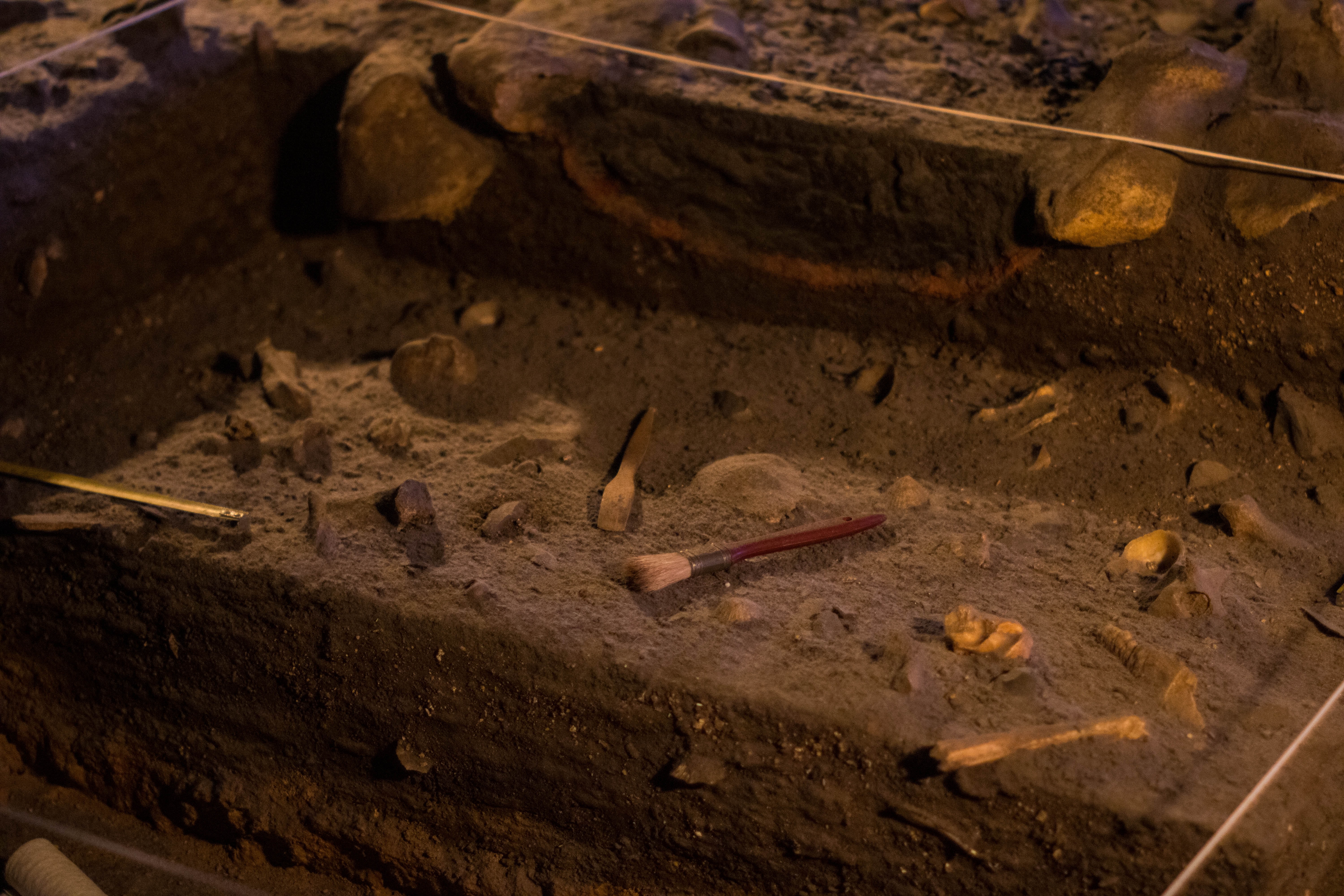 ATELIER : LES EXPERTS DE L'ARCHÉOLOGIE — visuel événement