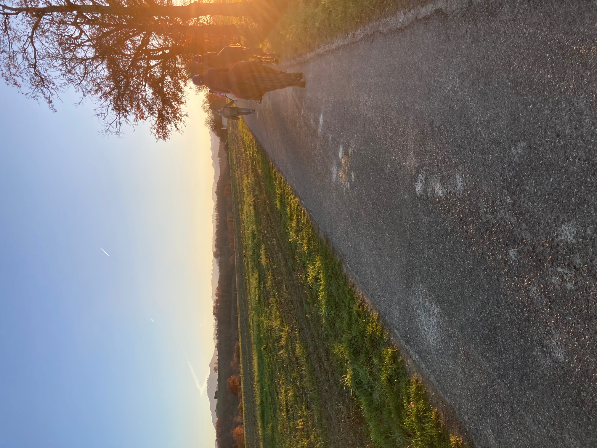CENTRE EQUESTRE DE LA NOUE
