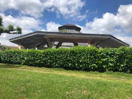 JARDIN DE LA SALLE, Montréjeau - photo 2