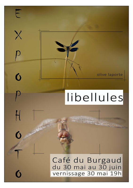 VERNISSAGE ET EXPOSITION SUR LES LIBELLULES, Le Burgaud