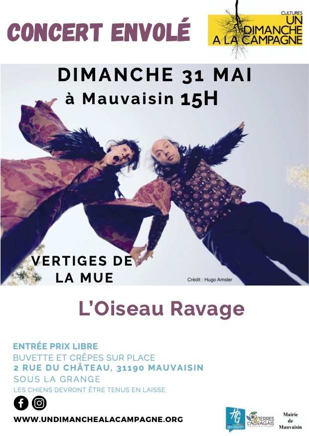 L'OISEAU RAVAGE — visuel événement