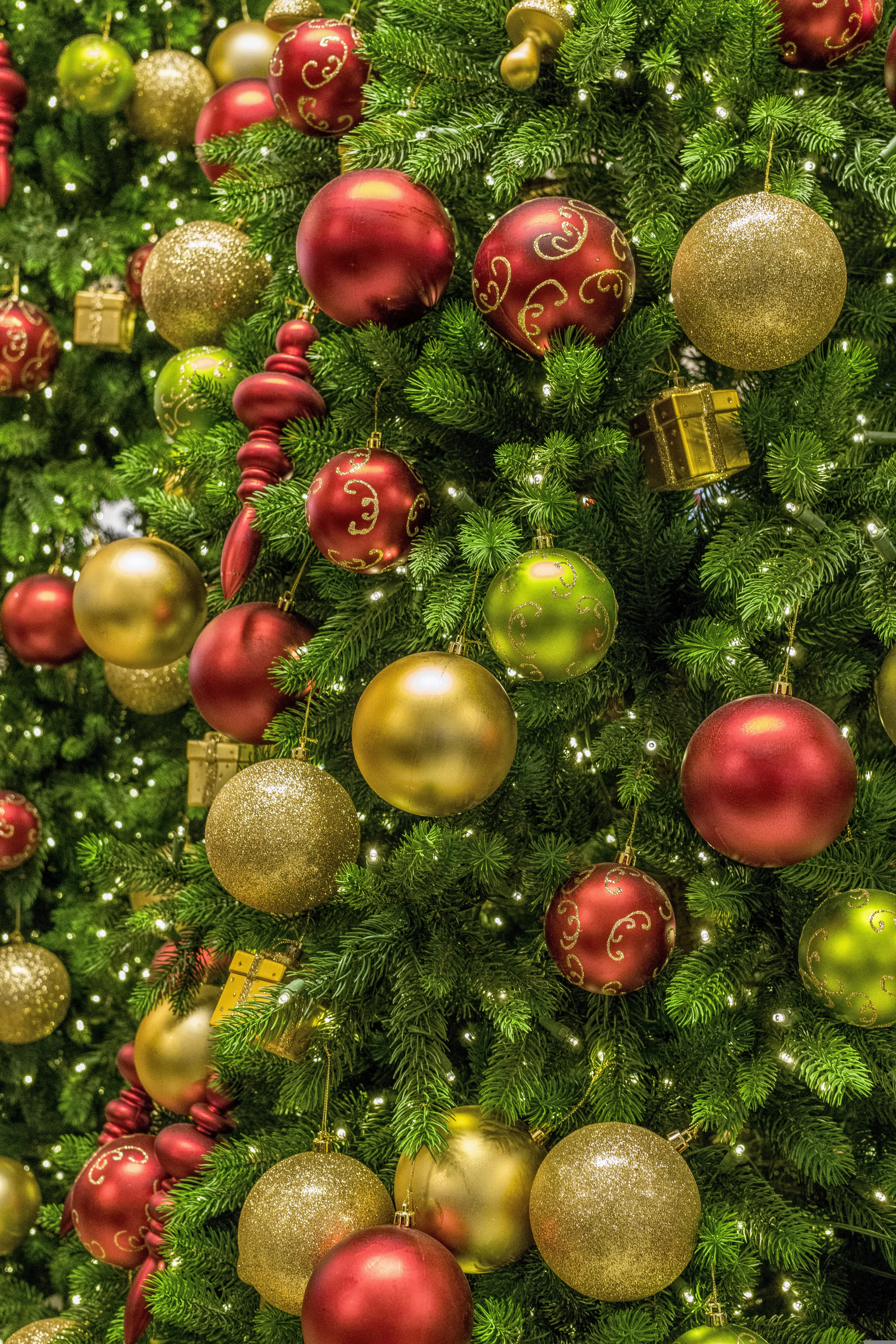 Photo de couverture - MARCHÉ DE NOËL