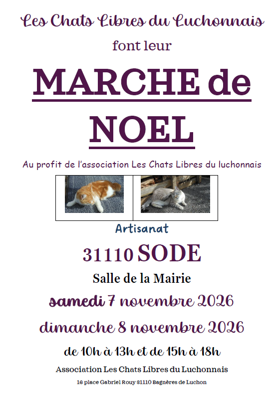 Photo de couverture - MARCHÉ DE NOËL