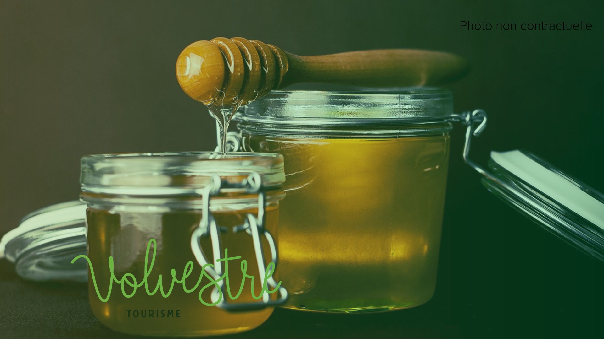 LES ABEILLES DE MICHEOU