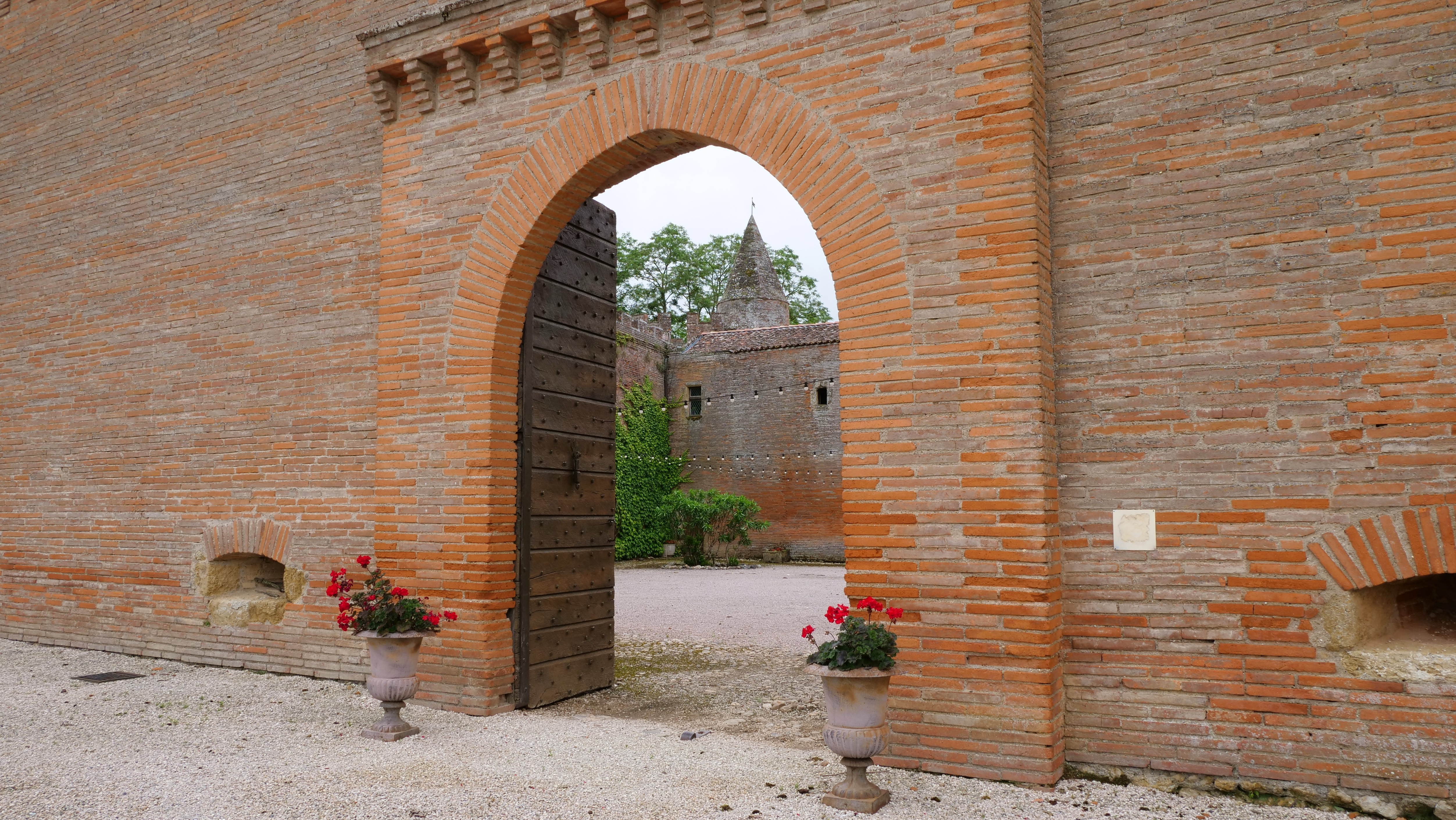 CHATEAU DE PALAYS, Montesquieu-Volvestre - photo 4