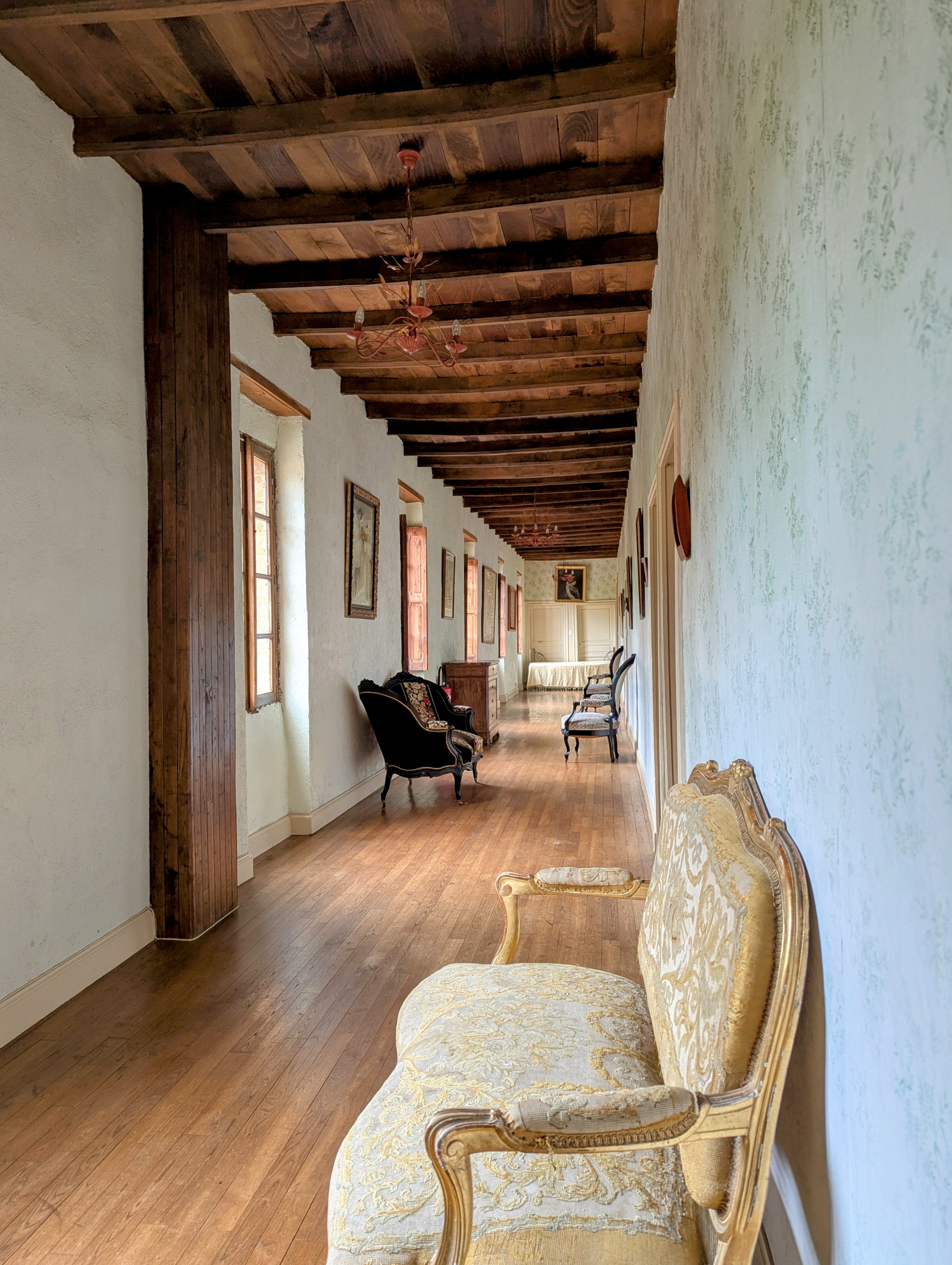 CHATEAU DE PALAYS, Montesquieu-Volvestre - photo 2