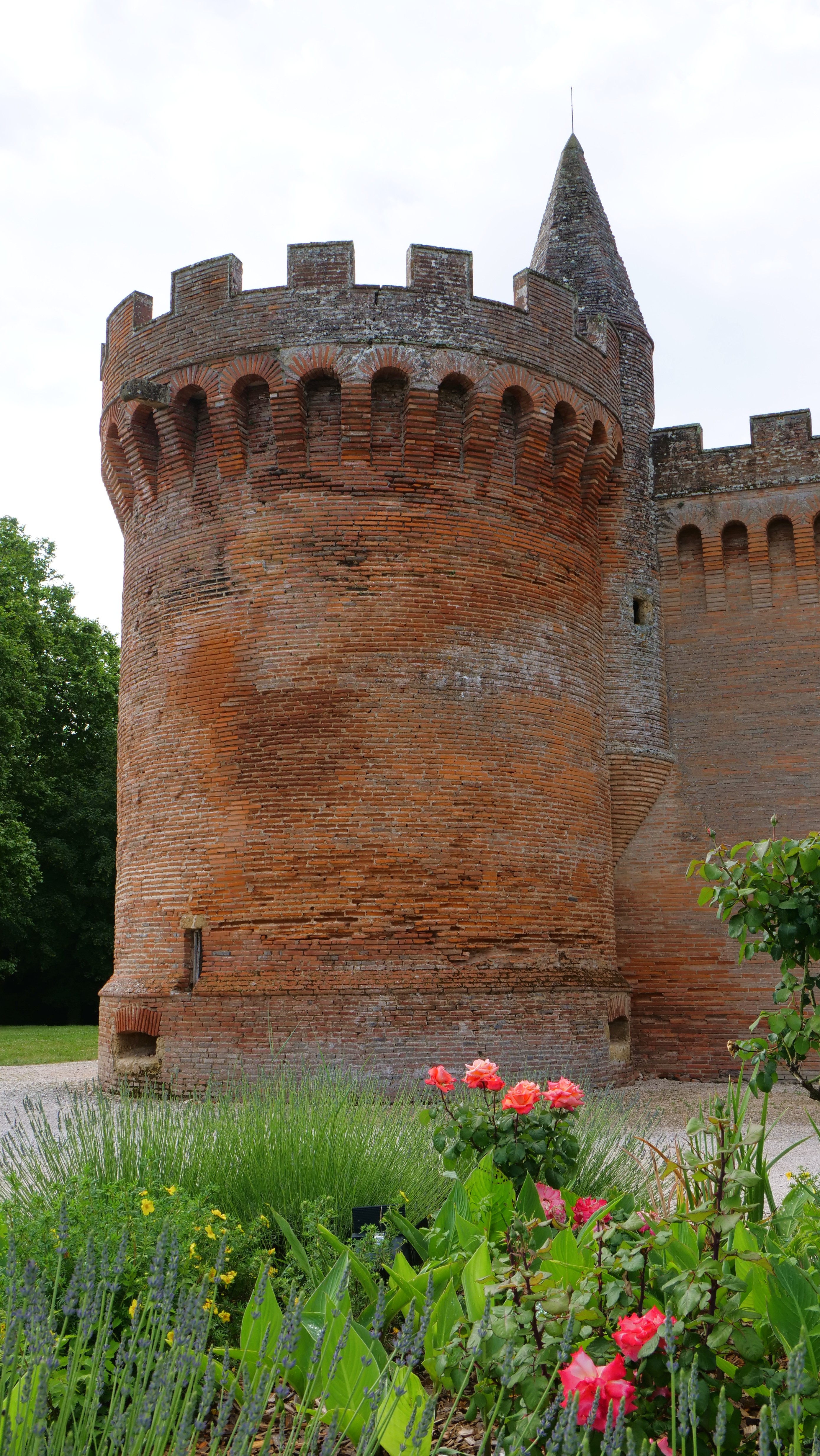 CHATEAU DE PALAYS, Montesquieu-Volvestre - photo 3