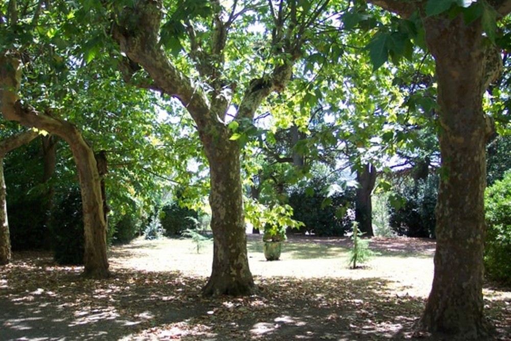 CHATEAU DE CAMBIAC, Cambiac - photo 2