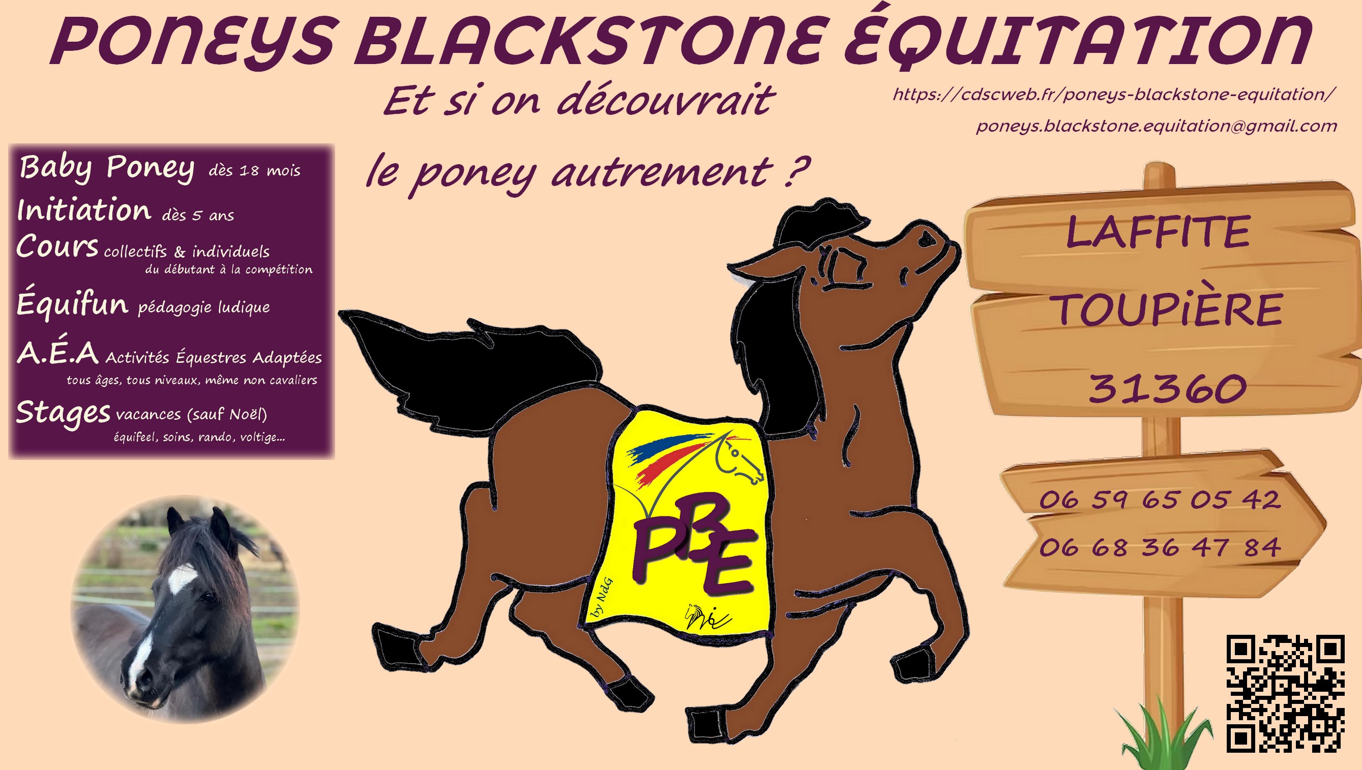 PONEYS BLACKSTONE ÉQUITATION