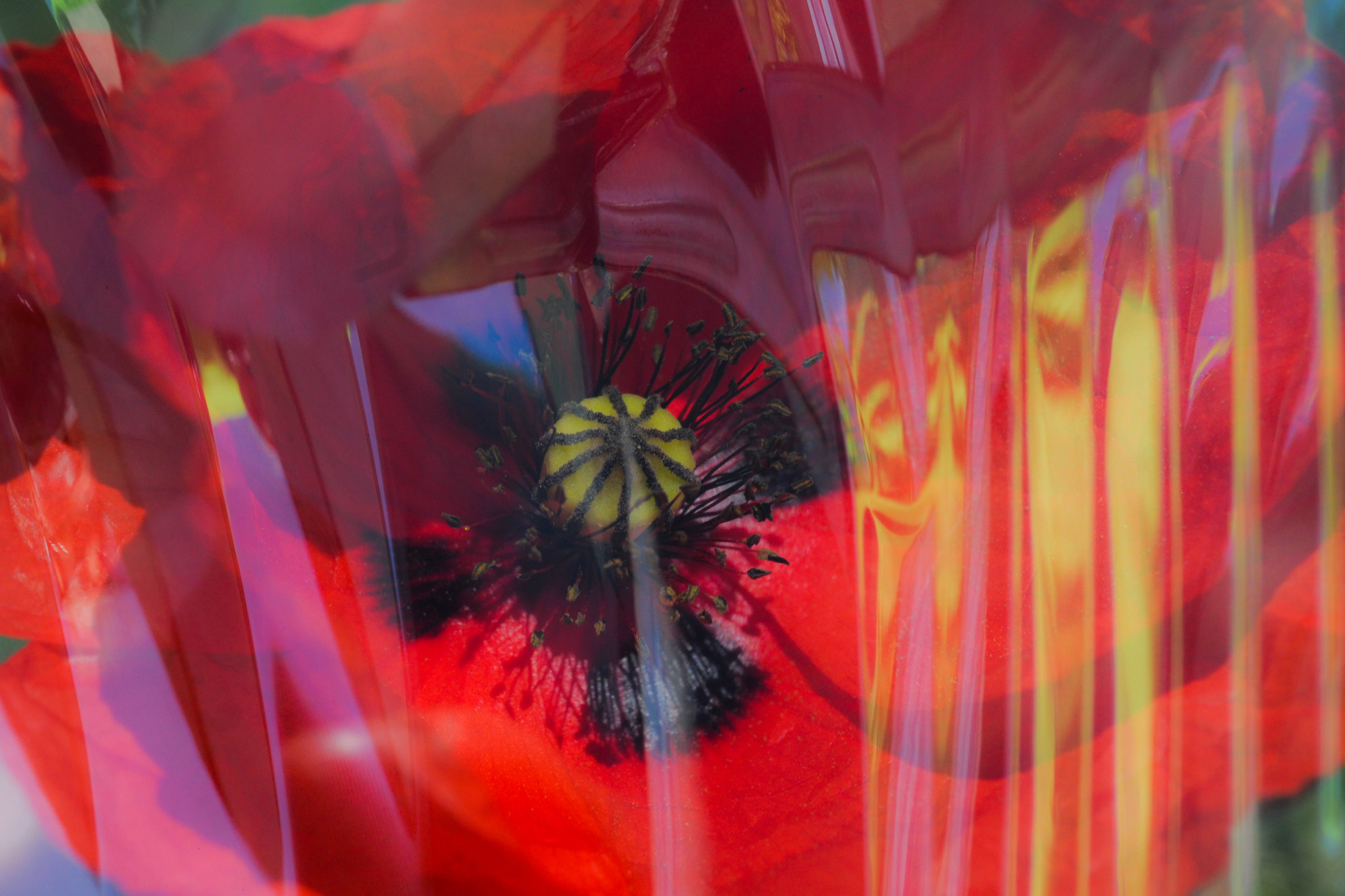 EXPOSITION PHOTO : CHRISTIAN REMEMBER, Saint-Gaudens