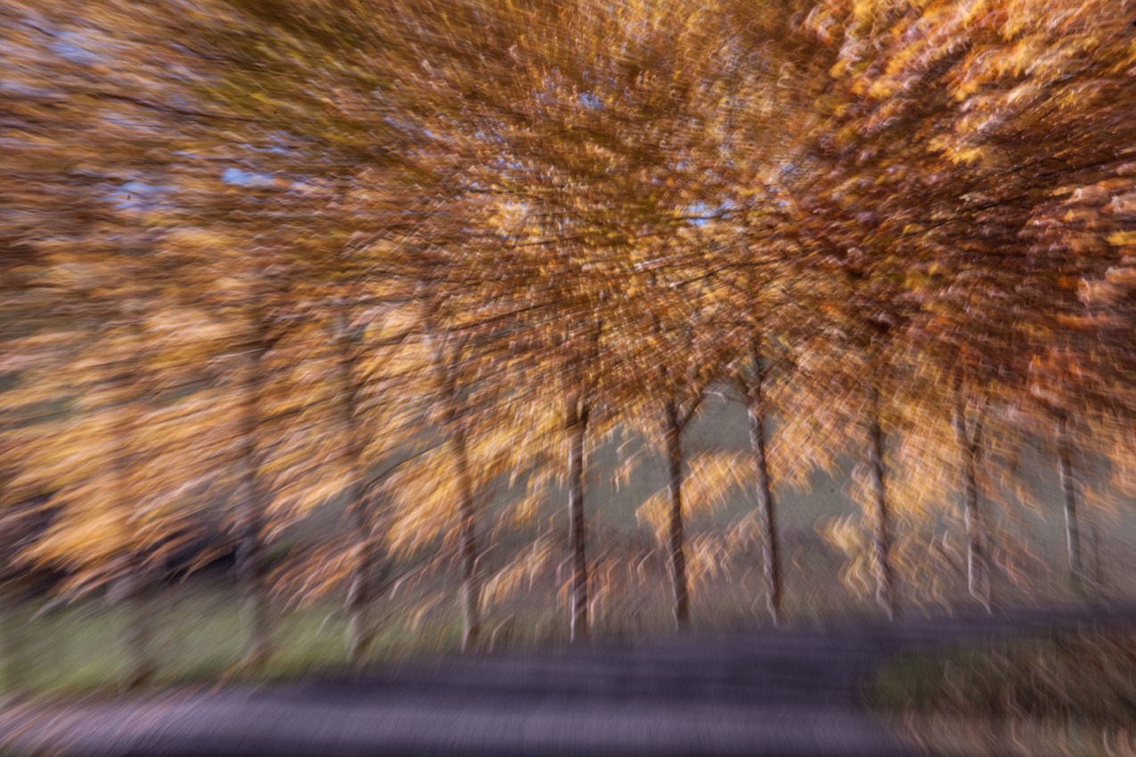 EXPOSITION PHOTO : CHRISTIAN REMEMBER, Saint-Gaudens - photo 4