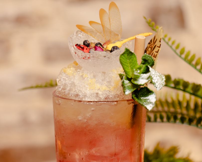 LA SAUTERELLE, Toulouse - photo 7