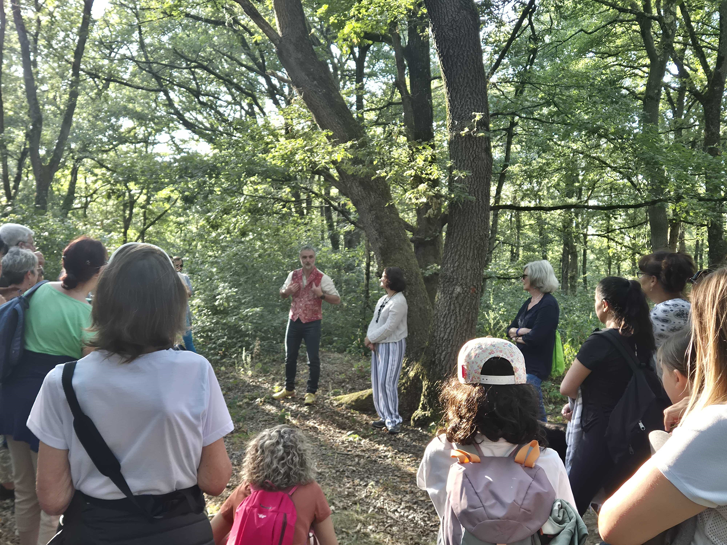 LES MERCREDIS ENCHANTÉS: CONTES EN CHEMIN